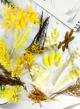 diy干花黄色系大全手工永生花材