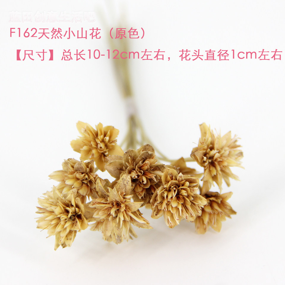 新品原装巴西进口小山花干花染色永生花礼盒diy蜡片车挂花材原色