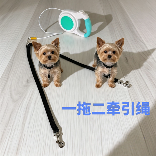 狗狗牵引绳小型犬自动伸缩一拖二