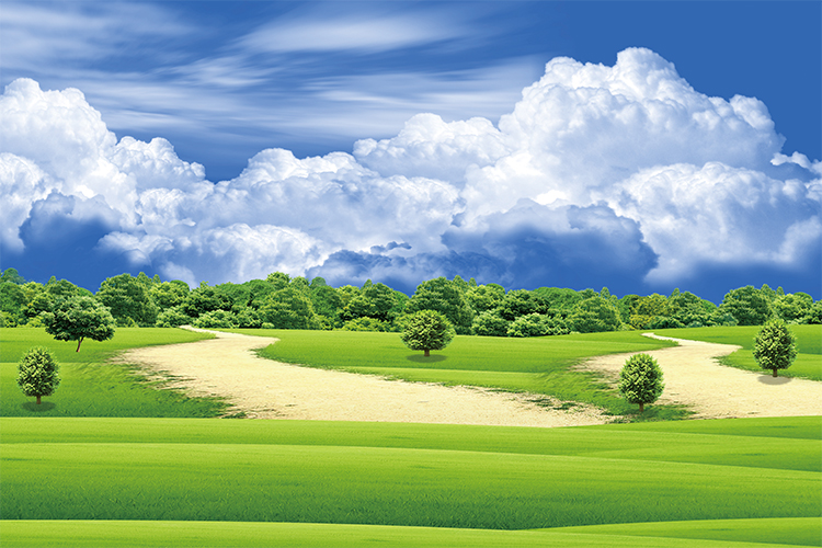 仿真浪漫客厅贴画壁纸电视背景墙