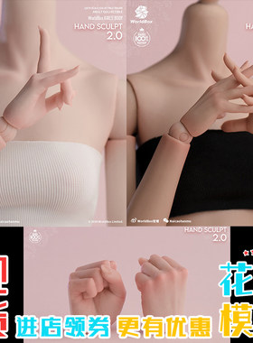 Worldbox 1/6 兵人 人偶配件 女素体一体臂 手型 AT208 AT209现货