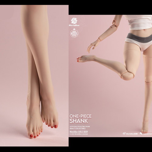 worldbox1/6AT204耐操兵人素体