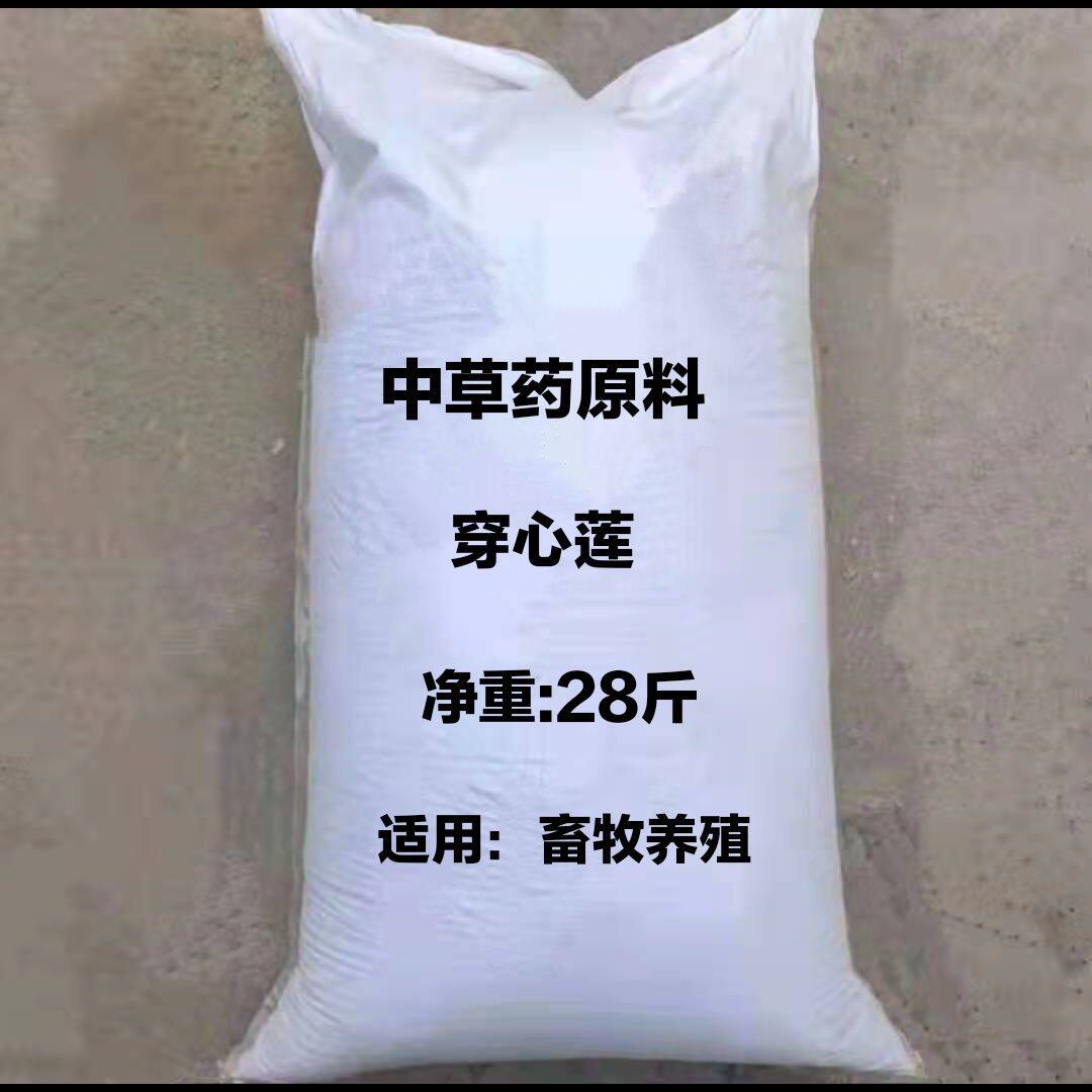 穿心莲粉养殖用穿心莲猪牛羊鸡鸭鹅饲畜牧禽穿心莲纯粉