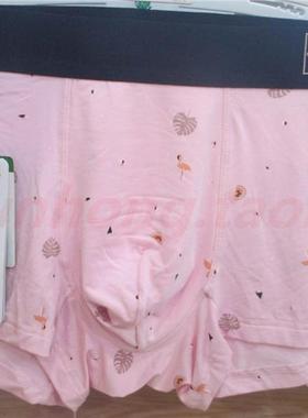 青系无痕莫代尔男内裤透气男四角裤中腰大码舒适男平角短裤36002