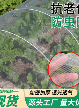 南郭良品农用防虫网种菜种植大棚防鸟网养殖围网防蝗虫纱网加厚