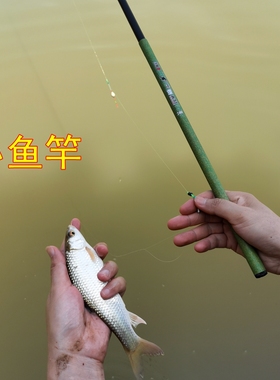 鱼竿初学者套装全套一套手杆超轻超硬儿童钓鱼竿短节台钓迷你小物