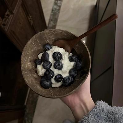 解锁新吃法！酸奶碗带勺椰子碗甜品沙拉家用早餐燕麦椰壳碗木碗