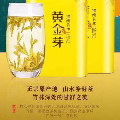 2024年新茶明前安吉黄金芽白茶黄金牙特级绿茶叶礼盒罐装250g