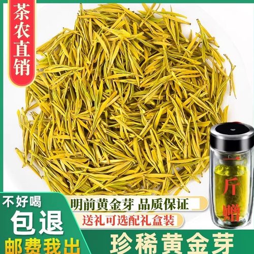 2025年正宗黄金芽白茶明前特级安吉新茶250g罐装礼盒装绿茶叶