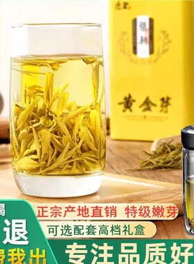 正宗黄金芽茶叶2026年新茶安吉春茶特级上等白茶绿茶250g礼盒装