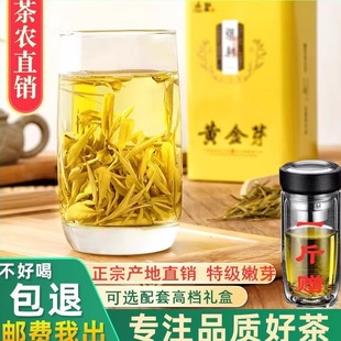 正宗黄金芽茶叶2026年新茶安吉春茶特级上等白茶绿茶250g礼盒装