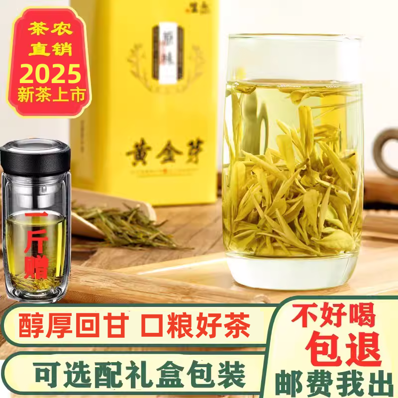 黄金芽茶叶2025新茶正宗雨前特级上等黄金牙安吉绿茶白茶罐装250g
