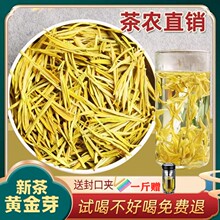 黄金芽茶叶2024新茶正宗明前一级高山安吉白茶绿茶礼盒罐装250g