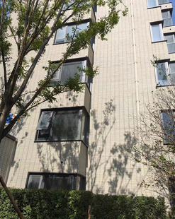 瓷砖外墙砖自建房砖乡村家用农村釉面砖 白色瓷砖老式