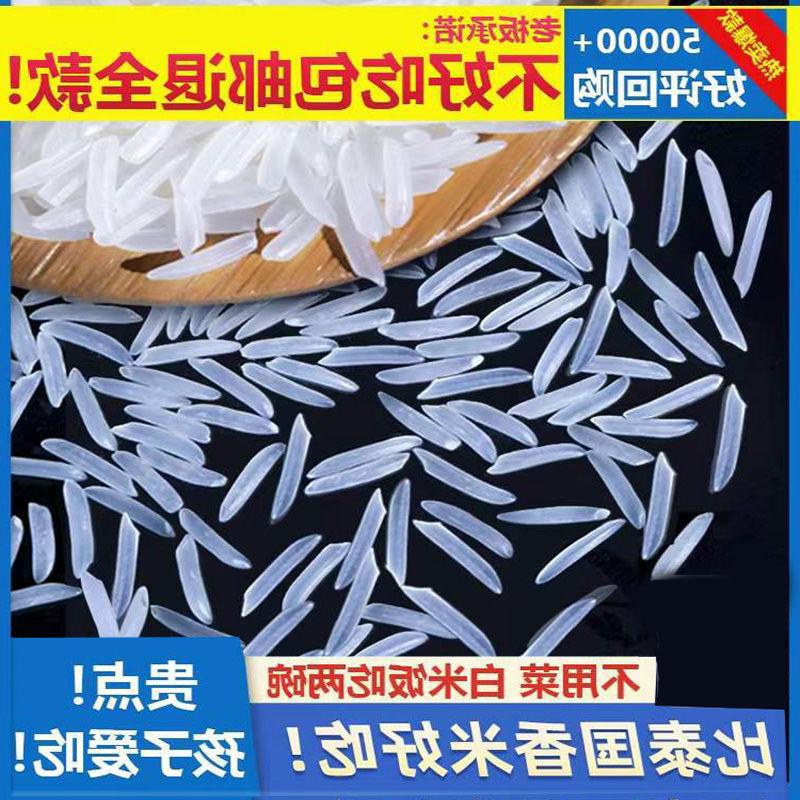 2024年晚稻新米猫牙香米泰国长粒丝苗大米超长油粘米象牙籼米包邮
