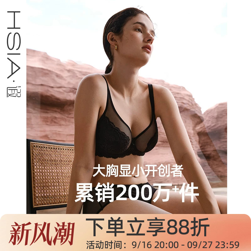 遐【倾城之恋】大胸显小全罩杯文胸防下垂大码显瘦蕾丝薄款内衣女