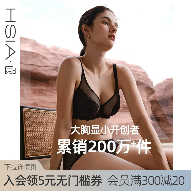 遐【倾城之恋】大胸显小全罩杯文胸防下垂大码显瘦蕾丝薄款内衣女