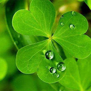 带喷头 四叶草 正品   气味控 香味图书馆 demeter香水 2ml