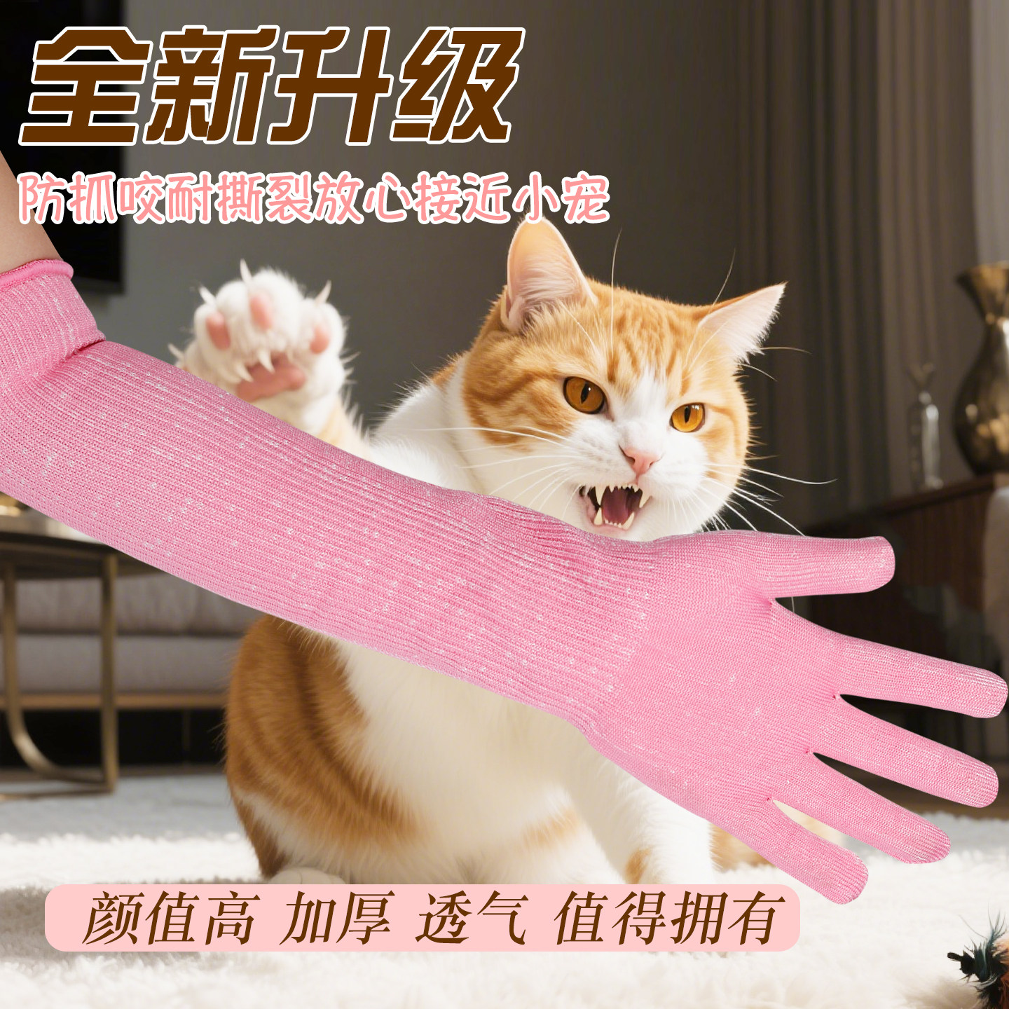 防猫抓手套猫咪防咬宠物剪指甲猫爪训猫抓猫防抓咬撸猫鹦鹉小狗用