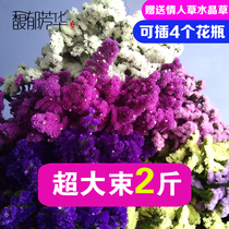 Yunnan natural air dried flowers don't forget me