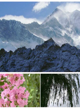 西海情歌 舞台背景 led动态背景视频素材 雪山 花朵 广场舞大草原
