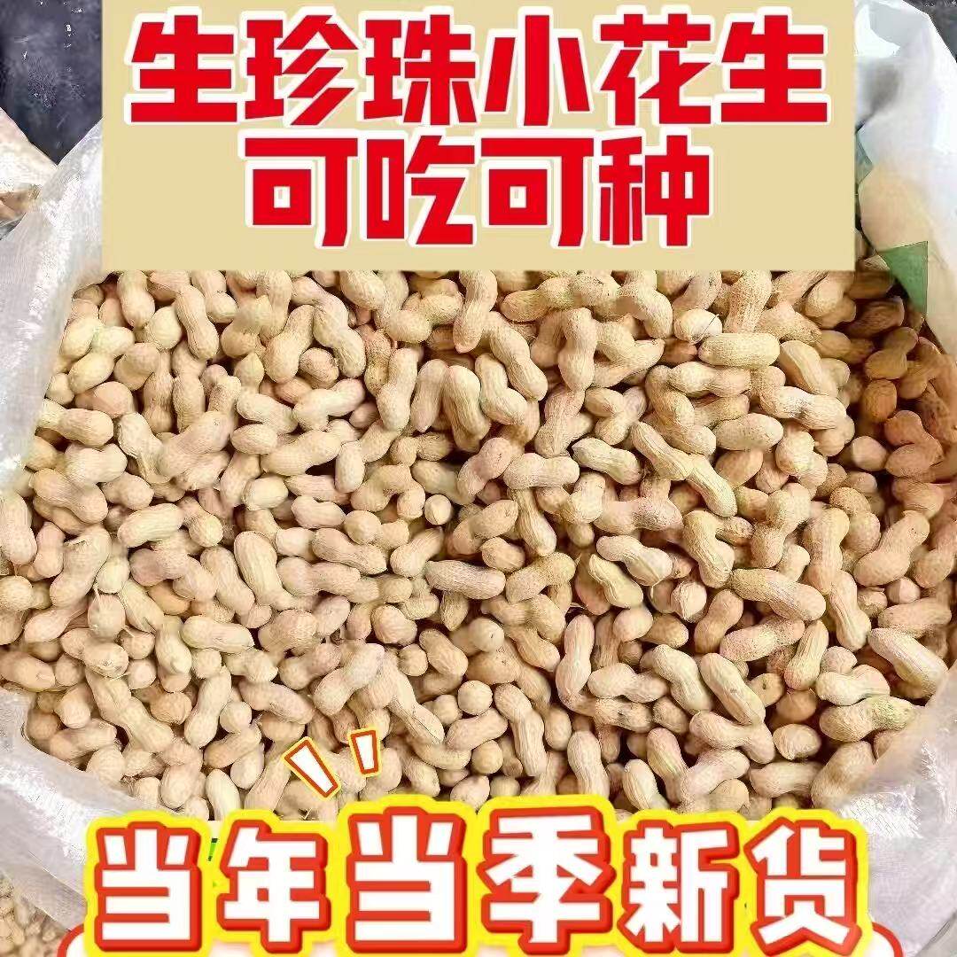 宾滋郎当季带壳珍珠小花生新鲜采摘自然晒干小花生种子带皮生花生图片