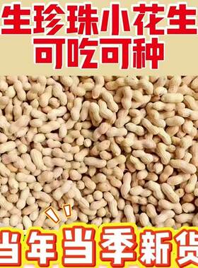 宾滋郎当季带壳珍珠小花生新鲜采摘自然晒干小花生种子带皮生花生