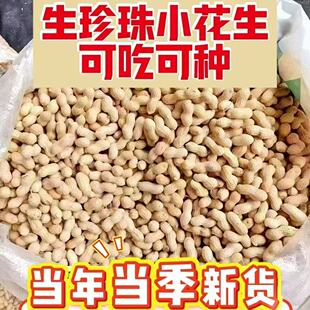 宾滋郎当季带壳珍珠小花生新鲜采摘自然晒干小花生种子带皮生花生