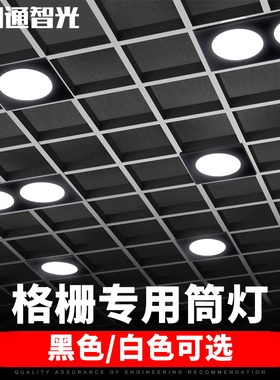 双头筒灯嵌入式方通吊顶单头双头斗胆灯8X16 10X20 12X24cm格栅灯
