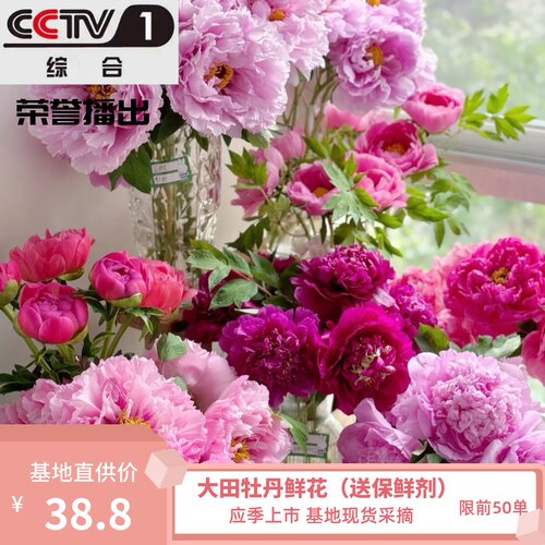 芍药鲜花山东插花客厅春节鲜花