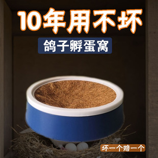 鸽子窝孵蛋专用防侧翻玉米皮草窝塑料蛋盆巢盆窝布垫棕垫鸽子用品