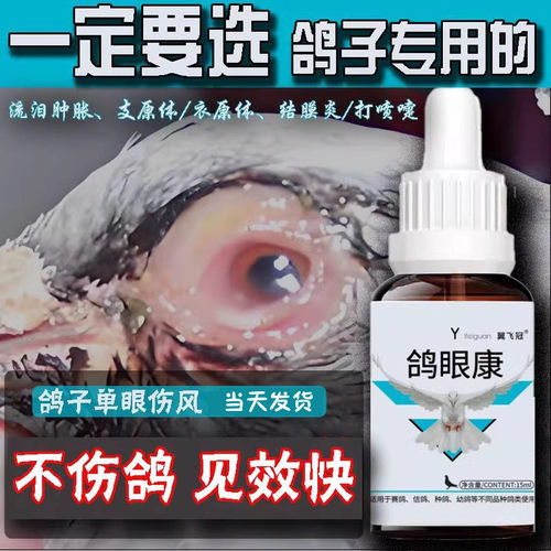 鸽子单眼伤风无效包退鸽子眼药