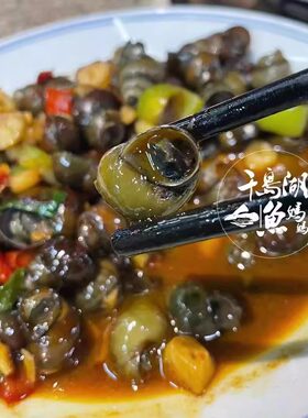 千岛湖螺清水蛳野生螺蛳肉饱满