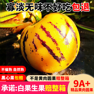 云南石林人参果水果5斤黄肉圆果新鲜整箱包邮人生参果当季礼盒装