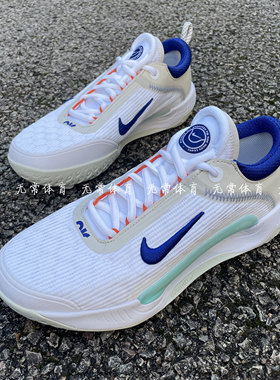Nike 耐克 Zoom Court NXT HC 男硬地比赛训练网球鞋 DH0219-141