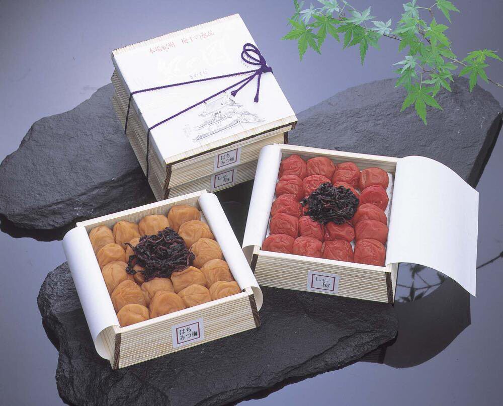日本代购和歌山纪州南高梅梅本铺420g*2盒礼盒紫苏蜂蜜白梅伴手礼