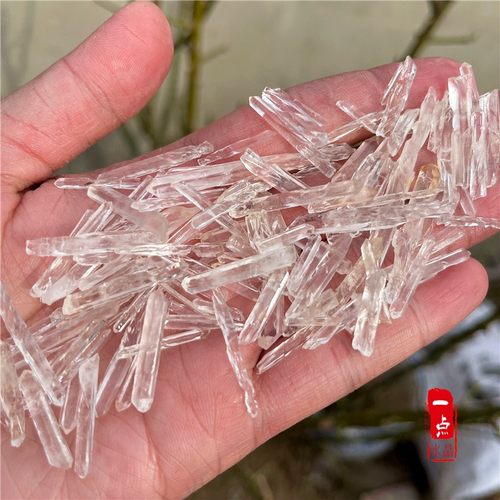 天然细长水晶柱子种子晶
