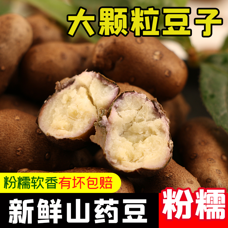铁棍山药豆糖葫芦蛋大号河南焦作温县怀淮山正宗麻紫新鲜垆土
