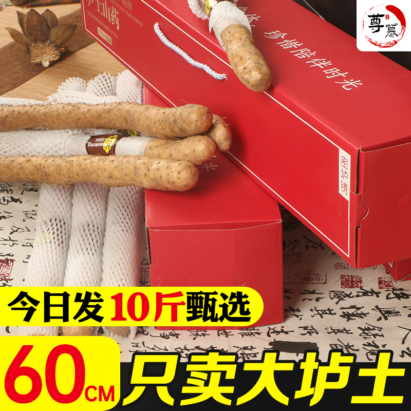 溫縣正宗壚土河南焦作鐵棍山藥禮盒裝10斤農(nóng)家新鮮紫懷淮山特產(chǎn)