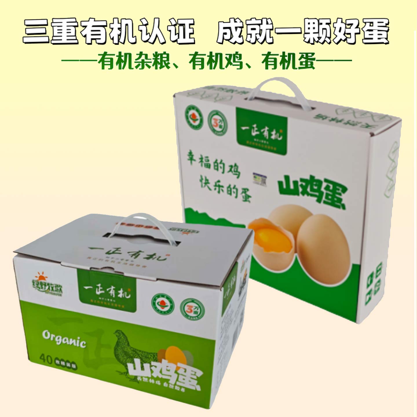 有机山鸡蛋 三万亩山林 散放饲鸡蛋