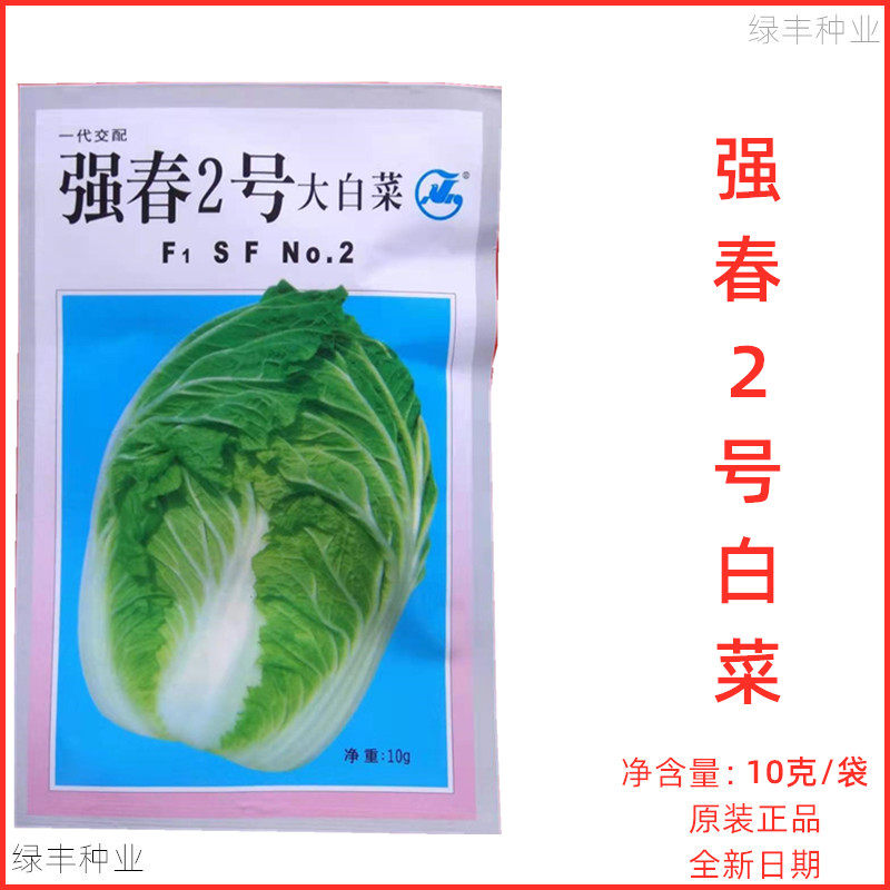 广良 强春2号大白菜种子早熟耐寒耐抽苔抗性强春季黄心大白菜种孑
