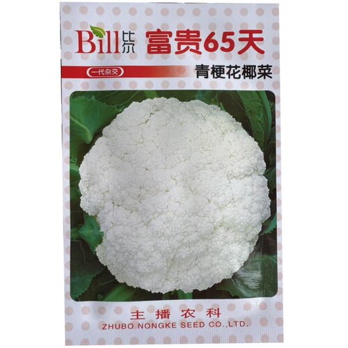 比尔富贵65天青梗松花菜种子中熟耐热耐湿 春秋季栽培 花椰菜种孑