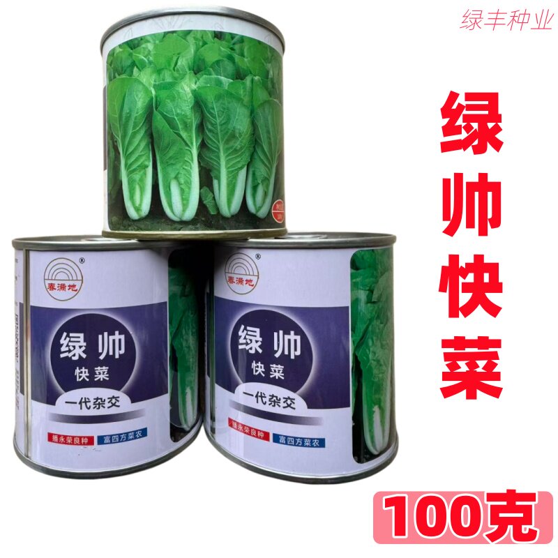 绿帅快菜种子 杂交一代速生抗病 叶片厚嫩 小白菜蔬菜种子 100g装