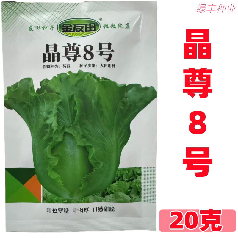 金友田晶尊8号生菜种子 大田用种 叶色翠绿叶肉厚 口感甜脆生菜籽