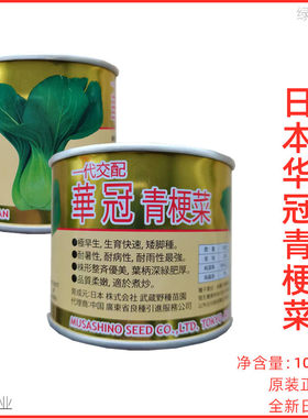 华冠青梗菜种子日本进口武藏野青梗小白菜油菜籽四季种植蔬菜种孑