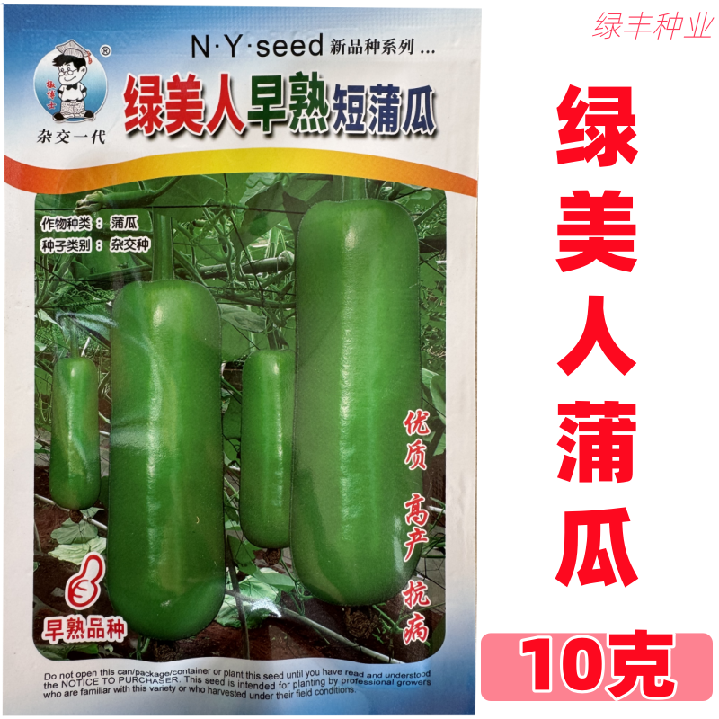 绿美人极早熟短蒲瓜种子早生雌花多结果力强果皮翠绿春秋季瓠瓜种 - 实物图