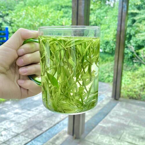正宗霍山明前黄芽2025年新茶安徽高山黄茶春季采摘原产地250g袋装