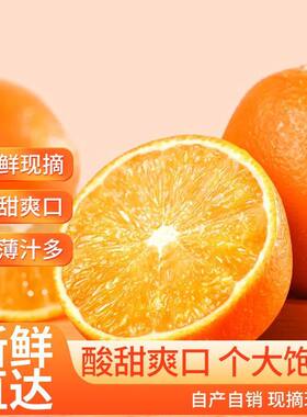 正宗永兴冰糖橙湖南郴州特产自家果园新鲜甜橙现摘超甜橙子