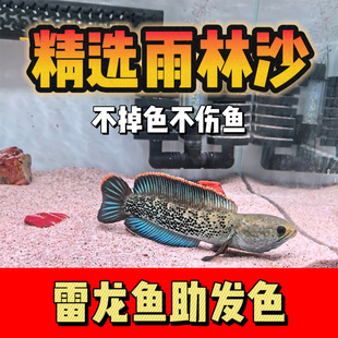 天然雨林沙粉色底砂黄色黑色雷龙鱼缸底砂造景小颗粒免洗沙助发色