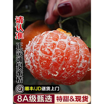 正宗临海涌泉蜜桔蜜橘子新鲜水果桔子浙江台州黄岩密桔现摘现发